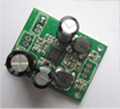 40W mono digital amp module