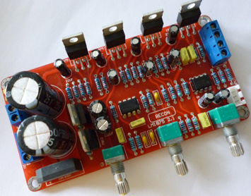 2.1 amplifier module