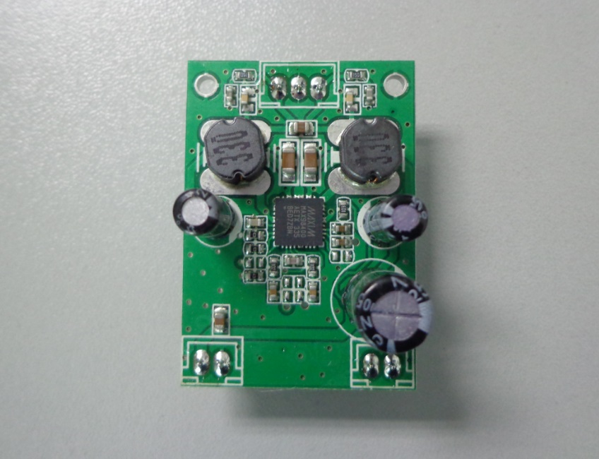 40W mono digital amp module